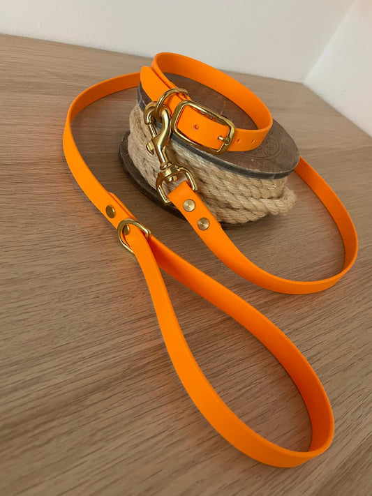 Biothane® Lead - Neon Orange