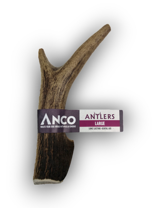 Anco Antler Large