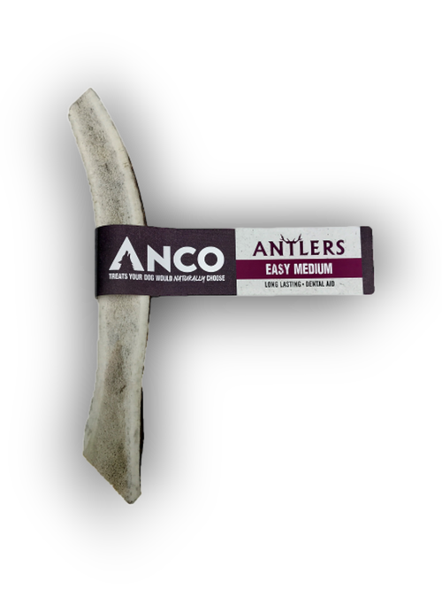 Anco Antler- Easy Medium