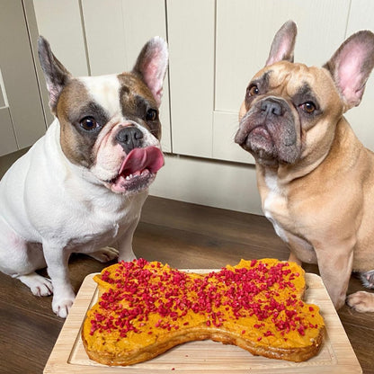 Dog & Bond Deluxe cake kit