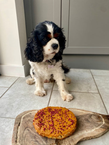 Dog & Bond Doggy cake kit