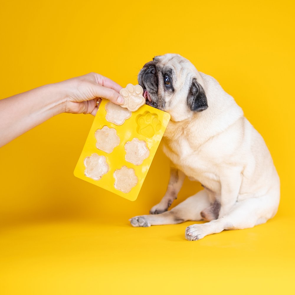 Dog & Bond Doggy Ice cream